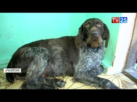 ქობულეთში სიყვარულის და თავგანწირვის მემორიალის დადგმა იგეგმება