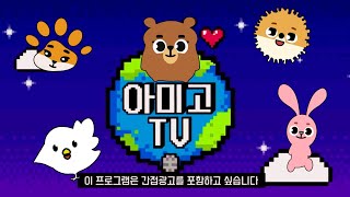 [INDOSUB] DAY6 AMIGO TV EP. 02 VARIETY SHOW SEASONS 4