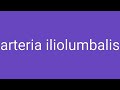 Arteria Iliolumbalis Definition & Meaning