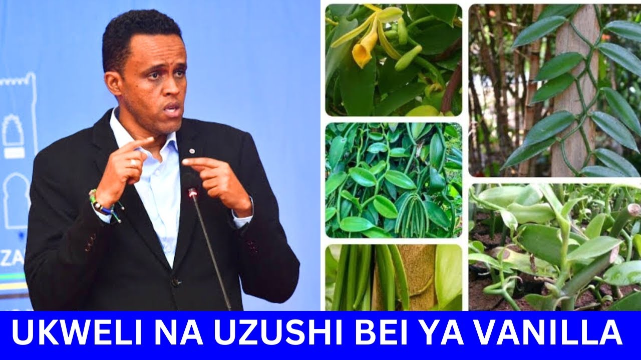 Je Vanilla inauzwa Milioni 1 kwa kilo? WAZIRI BASHE afichua ukweli wote, ataja kilimo cha Whatsapp