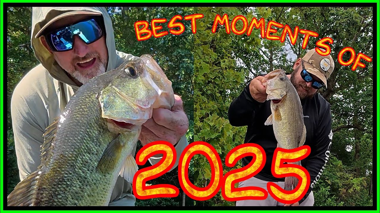 Лучшие моменты ловли окуня в 2025 году.