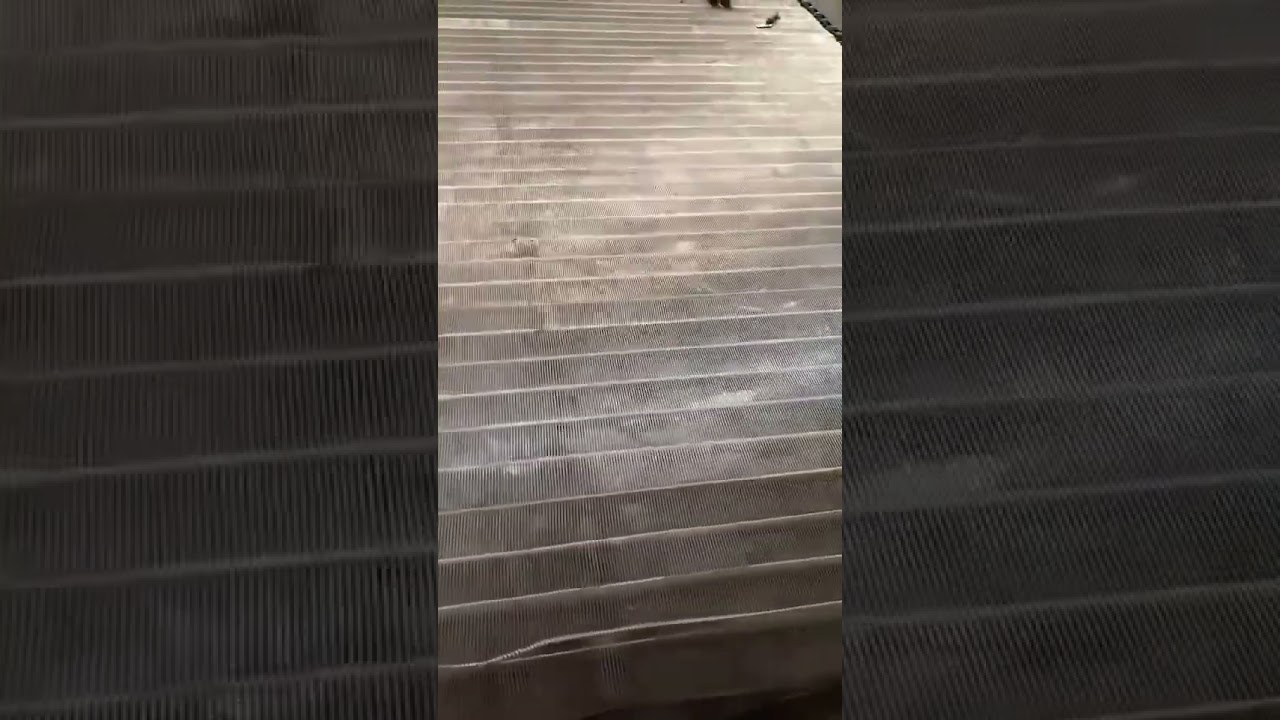 304 stainless steel high-temperature resistant conveyor belt