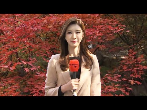 [날씨] 쾌청한 하늘, 고온현상…울긋불긋 물든 단풍 / 연합뉴스TV (YonhapnewsTV)
