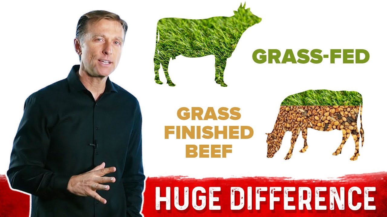 Grass-Fed vs. Grass-Finished Beef: Big Difference 