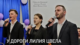 У дороги лилия цвела//Ансамбль 