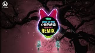 黑豆ado - 心碎的声音 (DJ沈乐版) 怪自己 始终忘不了你 Tiếng Lòng Tan Vỡ (Remix Tiktok) - Hắc Đậu ado || DJ抖音版 2025