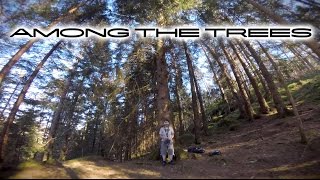 Among the Trees