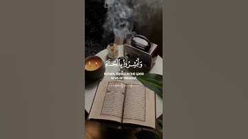 آيات بينات من الذكر الحكيم ♥️