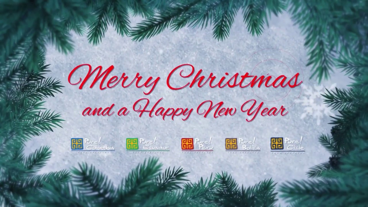 Merry Christmas and a Happy New Year from Pure! Travel Group