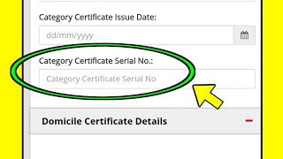 What is the meaning of category certificate serial number