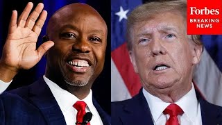 Top GOP Senator: Trump Picking Tim Scott For Vice President 'Would Be A Really Good Ticket'