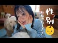 妊娠後期に突入!性別わかった・・!