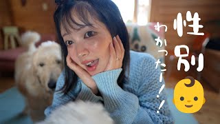 妊娠後期に突入！性別わかった・・！