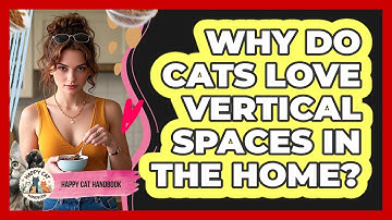 Why Do Cats Love Vertical Spaces In The Home? - Happy Cat Handbook