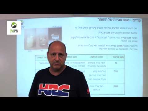 וִידֵאוֹ: איך הופכים לטכנאי בית מרקחת מוסמך באוהיו?