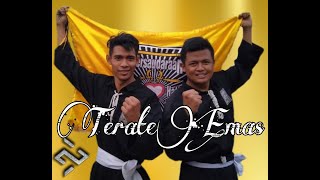 Aksi Seni Pencak Silat Ganda Putra Generasi Emas PSHT | Terate Emas