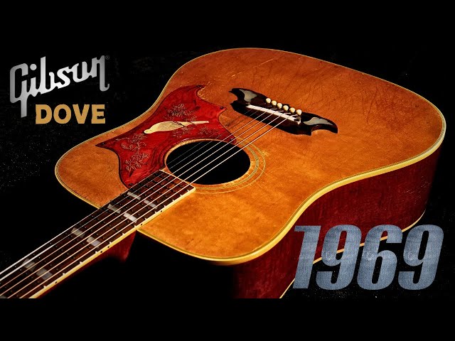 2002年製 Gibson D ove ブラック sddefault.jpg