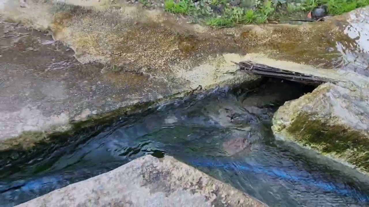 الكف عمالة الفنيذق المضيق