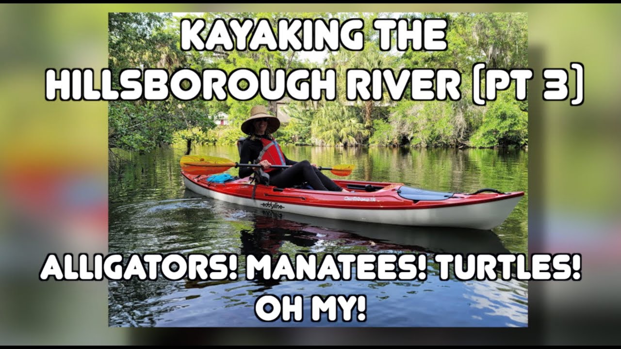 Kayaking the Hillsborough River in Tampa from Rowlett Park (with Greg