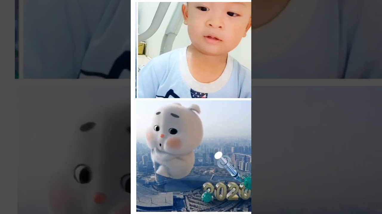 Cute fat rabbit | Si embul kelinci lucu