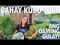 Pest control tips  urban bahay kubo tour ang daming tanim vegetables harvesting haydees garden