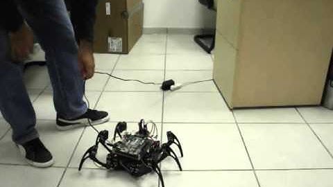 FPGA implementation of a conﬁgurable neuromorphic CPG-based locomotion