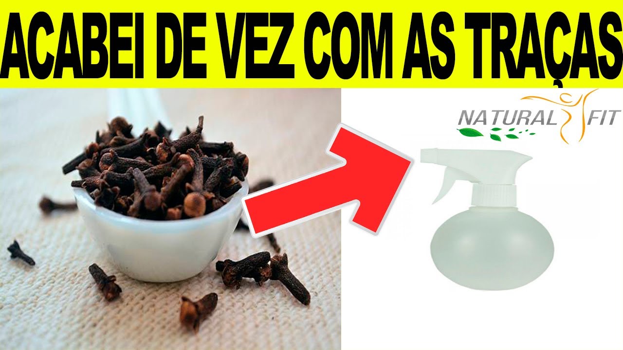 DICAS INFALÍVEIS Para ACABAR De Vez Com AS TRAÇAS | RECEITA CASEIRA ...