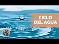 ¿Cómo funciona el CICLO del AGUA? 🌧️ (Definición, Fases y proceso).