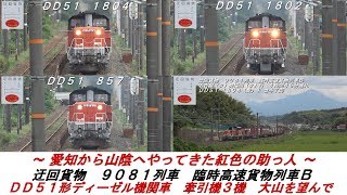 ～愛知から山陰へやってきた紅色の助っ人～　迂回貨物　９０８１列車　臨時高速貨物列車Ｂ　【ＤＤ５１ 形ディーゼル機関車　牽引機３機　大山を望んで】　＜山陰本線　米子駅～安来駅間＞