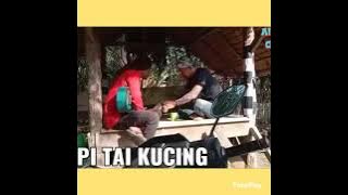 ATOK LABU ! KOPI TAI KUCING 🤣