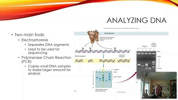 B221: Chapter 8 Topic 5 SU16