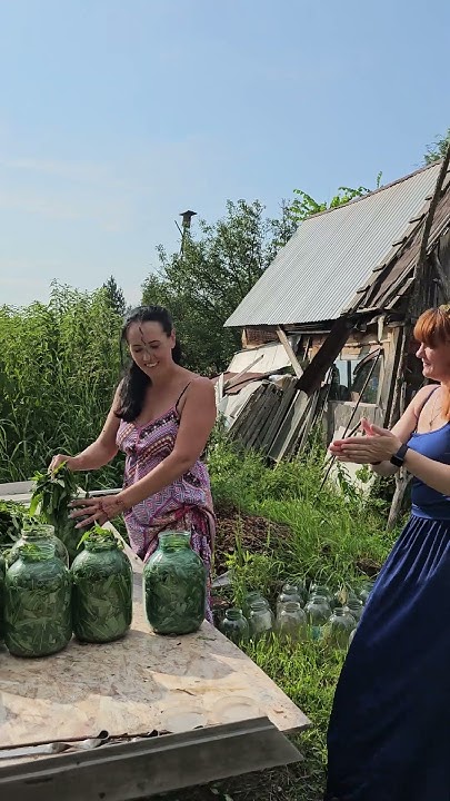 Травушка муравушка #травничество #травница #иванчай #лечениетравами # ...
