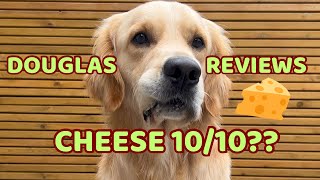 DOG TRIES CHEESE for the first time! 🧀 Will it be a 10/10? Watch to find out.