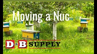 Moving a Nuc