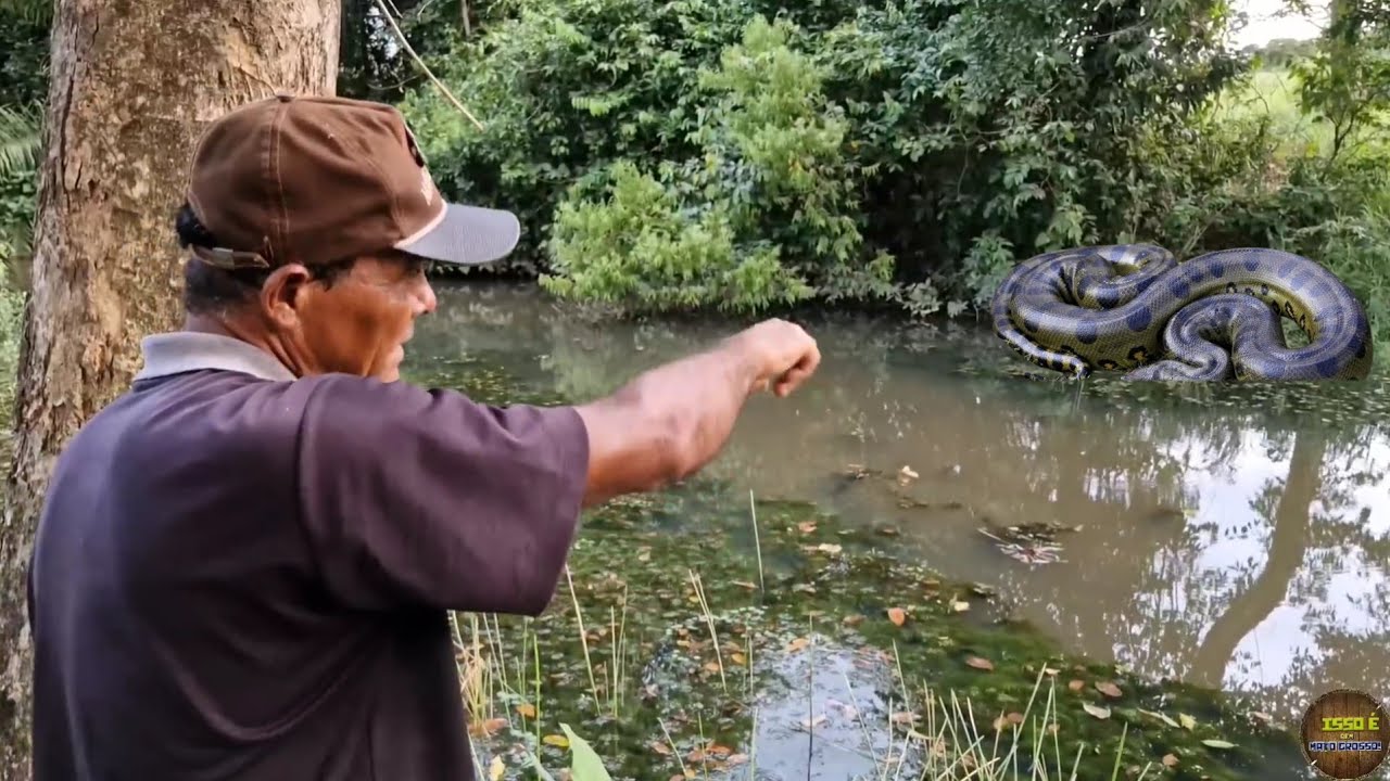COBRA SUCURI QUE MORA A 15 ANOS NO LOCAL TEM DADO OQUE FALAR.