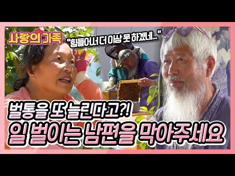 양봉에 <strong>과수원에</strong> 축사 일에 지금도 할 일이 태산인데!! 일 벌이는 남편과 속 터지는 아내 [사랑의 가족] KBS 240615 방송