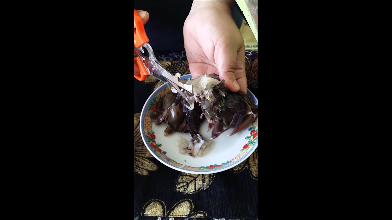 CARA MEMBERSIHKAN KETAM KULIT LEMBUT 