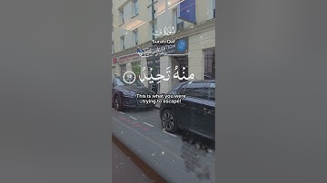 تلاوة عطرة لآيات من كتاب الله #القرآن_الكريم #القرآن #الله #اكسبلور #المصحف #foryou #viral #fyp