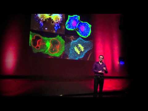 Joris Veltman -2000 celldivisions per second and you call men lazy ? - TEDxRadboudU - Joris Veltman -2000 celldivisions per second and you call men lazy ? - TEDxRadboudU