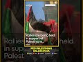 Israel-Palestine War: Pro-Palestinians hold rally outside Israeli Embassy in London | WION Shorts