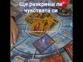 Ще разкриеш ли чувствата си таро езотерика блогер любов тарорасклад таролог признателност