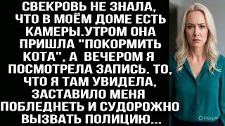 видео: Свекровь не знала, что в моём доме есть камеры. После её визита я посмотрела запись и ужаснулась... картинка: Свекровь не знала, что в моём доме есть камеры. После её визита я посмотрела запись и ужаснулась...