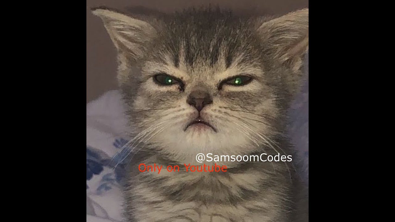 Online Life Simulation