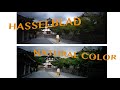 Hasselblad natural color solution review x2d