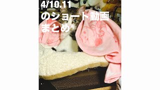 4/10.11のショート動画まとめpart133