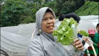 Kegiatan Outing claas Paud hikmah tazkia di Boemisora Salatiga