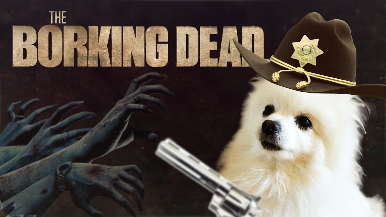The Borking Dead - YouTube