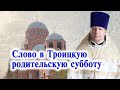 Слово в Троицкую родительскую субботу. Священник Димитрий Лушников. 3 июня 2023.