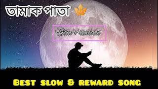 তামাক পাতা 🍁।tamak pata, best slow & reward night mood lofi song  gogon sakib #bengalisong #sadsong