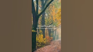 وإنه لتنزيل رب العالمين #سورة الشعراء #القرآن الكريم #جوهرة القرآن